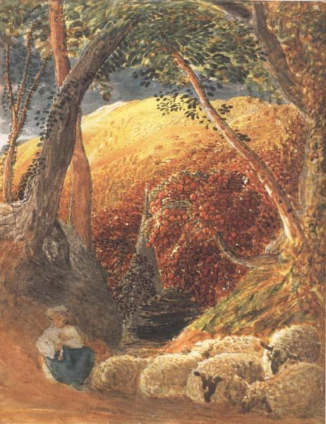 Samuel Palmer The Magic Apple Tree china oil painting image